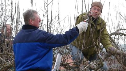 Bild: Wolfgang Grosser/exb 
Die Teilnehmer des Gartenpflegerkurses lernen auch den richtigen Umgang mit einem starken Austrieb der sogenannten Wasserschosser.