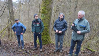 Bild: tra
Bürgermeister Hans Ram, Sven Grünert, Matthias Helm und Anton Preischl (von links) erklären die Gründe und Maßnahmen für den Waldumbau am Eggenberg bei Ensdorf.