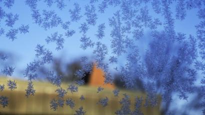 Bild: Petra Hartl
In den kommenden Tage scheint oft die Sonne und vertreibt den Nachtfrost.