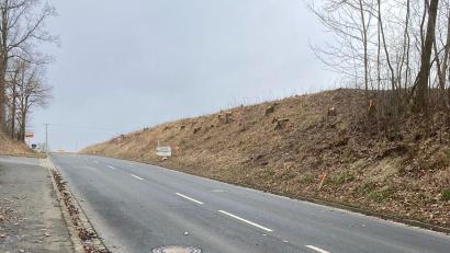 Bild: e
Mit der Rodung von einigen Bäumen sind die ersten Vorarbeiten für den Bau des Rad- und Gehwegs von Schlicht zum Neubaugebiet Weidenstock angelaufen. Sobald die Förderzusage der Regierung vorliegt, erfolgt die Ausschreibung und geht der Auftrag an eine Baufirma.