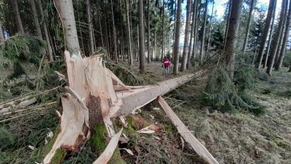 Bild: lg
Kein Einzelfall: Die Stürme haben ganze Arbeit geleistet. Nun muss aufgearbeitet werden.