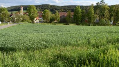 Bild: bnr
Das Genehmigungsverfahren für das Baugebiet "Wiegenäcker " ist abgeschlossen. Jetzt sind die künftigen Bauherrn am Zuge.
