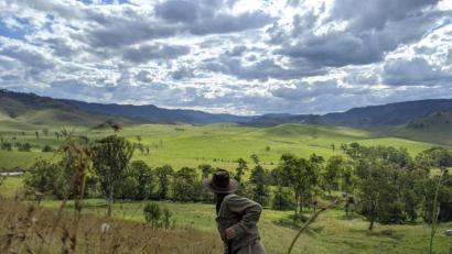 Bild: --/AirSeed/dpa
Die Ökologin Dr. Charlotte Mills überprüft das Wachstum einiger von AirSeed gepflanzter Bäume.