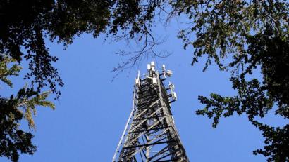 Bild: Bernd Wüstneck/dpa-Zentralbild/dpa
Ein Funkturm in einem Waldstück.