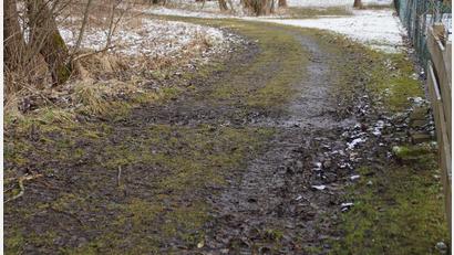 Bild: Portner
Reparaturbedürftig: Der oft matschige Weg ab Kurpark stadtauswärts.