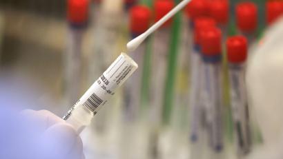 Bild: Oliver Berg/dpa/Symbolbild
Ein Abstrich wird in einem Labor auf das Coronavirus untersucht.