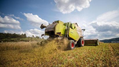 Bild: Christoph Schmidt/dpa
Ein Landwirt fährt bei der Getreideernte mit seinem Mähdrescher über ein Haferfeld.