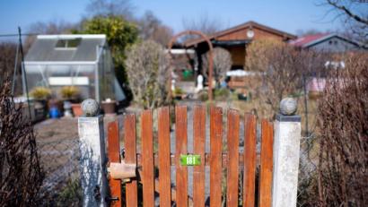 Bild: Sven Hoppe/dpa/Archivbild
Ein Kleingarten ist in einer Kleingartenanlage zu sehen.