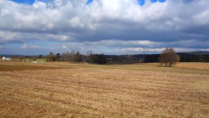 Bild: fjo
Bis zu den Neubauten in den "Sommerwiesen" (links) und zur großen böhmisch-bayerischen Stromleitung (hinten, Mitte) plant die Stadt ein neues Industrie- und Gewerbegebiet. Ganz im Hintergrund rechts ist noch der Fahrenberg zu sehen.