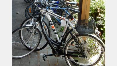 Symbolbild: Christine Ascherl
Eine ganze Serie an Fahrraddiebstählen klärten Polizisten aus den Landkreisen Neustadt/WN und Amberg-Sulzbach auf.