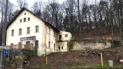 Bild: ihl
Die Kellerwirtschaft am Holzberg ist von der Fronberger Straße aus wieder besser zu sehen. Das bleibt nicht lange so, das Fällen der Bäume ist der Vorbote für den Abriss.