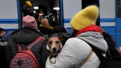 Symbolbild: Carol Guzy/ZUMA Press Wire/dpa
Flüchtlinge aus der Ukraine werden auch in Plößberges Partnergemeinde Goczalkowice-Zdrójin aufgenommen. Die Marktgemeinde will hier Unterstützung bieten.