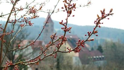Bild: Petra Hartl
Das Wetter sieht wie Frühling aus, fühlt sich aber nach Winter an erklärt Wetterexperte Andy Neumaier.