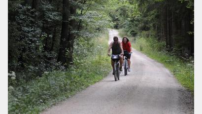 Symbolbild: Petra Hartl
Der Pleysteiner Stadtrat Thomas Parton sieht es als kritisch an, im Wald noch mehr Radwege zu bauen.