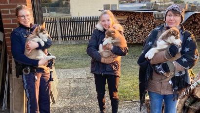 Bild: Polizei Schwandorf/exb
Ivonne Nöff und Jaqueline Schinabeck (von rechts) entdeckten die fremden Hundewelpen in ihrem Garten. Polizeibeamtin Vanessa May half dabei, sie wieder zu ihrem "Herrchen" zu bringen.