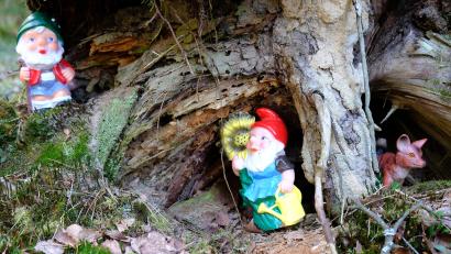 Bild: do
Seltsame Überraschung: Den Wanderern begegnen im Wald zunehmend Gartenzwerge. Keine Scheu hat auch ein kleiner Fuchs.