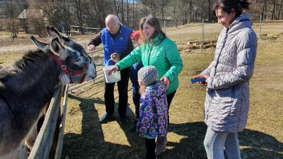 Bild: Lowak
Täglich macht Nicolas Cenway mit den beiden Familien aus der Ukraine einen Rundgang durchs Dorf, um verschiedene Tiere zu streicheln und zu füttern. Besonders schön ist es bei den Eseln in der Nachbarschaft, die bereitwillig ihre Köpfe über den Zaun strecken.