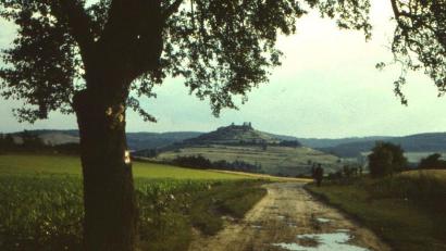 Repro: Ludwig Nerb
Diese beiden Aufnahmen vom „Schwanawirtsberg“ nördlich von Hohenburg aus aufgenommen, zeigen mit Datum 24. Juli 1960 den Burgberg Hohenburg noch mit den ehemaligen Fluren und fast ohne Bewaldung. Der Fotograf verstand sein Handwerk – nach dem Motto: „Vordergrund macht Bild gesund!“
