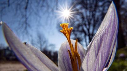 Symbolbild: Frank Rumpenhorst
Die Sonne scheint in den kommenden Tagen.