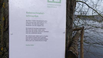 Bild: rn
Poesie am Obersee in Eschenbach.