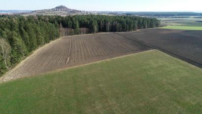 Bild: bey
Etwa am Knick des Waldes in Blickrichtung zum Basaltkegel sollte ein Windrad aufgestellt werden. Eines Zweites am Ende des Waldes (rechts) auf den Parkstein zugewandten Seite. Das dritte Windrad war für eine freie Fläche mitten im Wald rechts der GVS Parkstein-Schwand geplant.