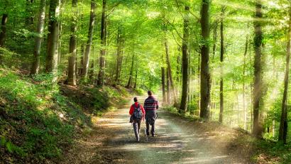 Symbolbild: exb/Jan Becke
Die Grund- und Mittelschule Weiherhammer will ihre Schüler in enger Kooperation mit dem Naturpark Oberpfälzer Wald an die heimische Natur heranführen.