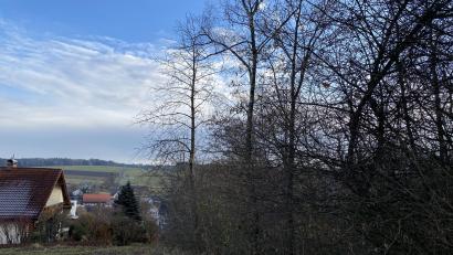 Archivbild: Eichl
Um die Hecke zum Fernsehturm hinauf ging es wiederholt schon im Gemeinderat. Der Nachbar Ernst Herrmann wehrt sich nun sehr deutlich gegen den Vorwurf, es seien Bäume gefällt worden, nur weil diese ihm nicht gefallen hätten.