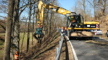 Bild: Hirsch
Die Eichen an der Böschung müssen weichen. Erst dann kann der Hang an der Staatstraße 2040 zwischen Schwarzhofen und Neunburg vorm Wald verdichtet werden.