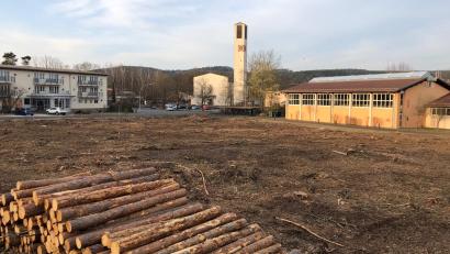 Bild: mis
Neben Seniorenheim, Kirche und Schulturnhalle soll sie in Zukunft stehen: Für die geplante Turnhalle wurde Platz gemacht. Das kleine Waldstück musste weichen.