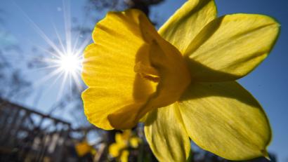 Symbolbild: Frank Rumpenhorst/dpa
Der März bleibt weiter sonnig in der Oberpfalz. Dann aber naht der wechselhafte April und es wird etwas wolkiger.