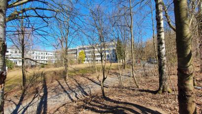 Bild: Lowak
Auf dem Gelände hinter dem ehemaligen Krankenhaus in Neustadt/WN sollen 45 Wohnungen entstehen. Die Anwohner befürchten zu hohe Gebäude und zu viel Verkehr.