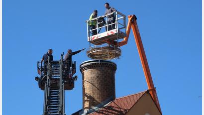 Bild: rha
Mit Unterstützung eines Krans und der Drehleiter der US-Feuerwehr aus dem Südlager wird das neue, komfortable Storchennest auf dem Turm des ehemaligen Malzhauses angebracht. Nun müssen die Störche nur noch davon Besitz ergreifen.