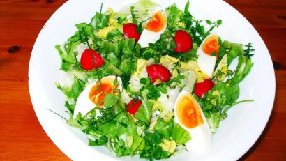 Bild: Guthjahr
Ein Wildkräutersalat im Frühjahr weck die Lebensgeister und garantiert Gaumenfreuden.