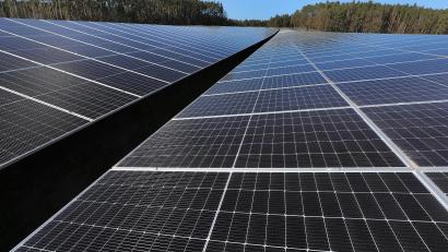 Bild: Wolfgang Steinbacher
Im Sulzbach-Rosenberger Ortsteil Oberschwaig produzieren im neuen Photovoltaik-Park "Striegel" 27.000 Hochleistungsmodule 14 Megawatt Strom für die Firma Kurz. Die Stadtverwaltung darf sich auf den Erfolgen jedoch nicht ausruhen - sondern muss beim CO2-Sparen neuen Schwung entwickeln.