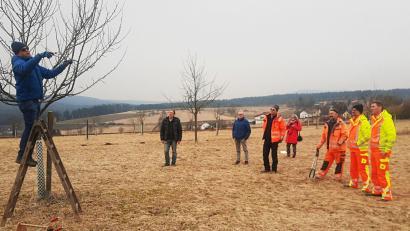 Bild: ld
Kreisfachberater Harald Schlöger (links) erklärte auf der Geburtenwiese in Brand Bauhofmitarbeitern der Steinwald-Allianz-Gemeinden den richtigen Obstbaumschnitt. Hinten von links: Naturschutzwart Gerald Hoch, Zweiter Bürgermeister Christian Drehobel und Eva Gibhardt von der Steinwald-Allianz,