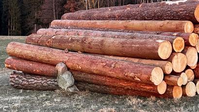 Bild: exb/Leserfoto
Das Feldkreuz bei Aich ächzt unter dem Gewicht der Holzstämme. Ein Spaziergänger sieht darin die Misshandlung eines Kulturguts der Oberpfalz.