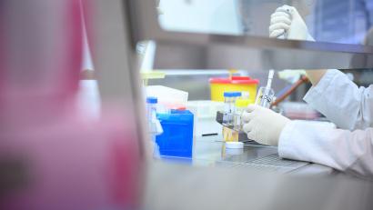 Bild: Sebastian Gollnow/dpa
Am Wochenende gab es im Landkreis Tirschenreuth 325 weitere Corona-Neuinfektionen.