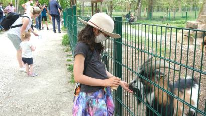 Archivbild: Hirsch
Der Wild- und Freizeitpark Höllohe ist beliebtes Ausflugsziel. Für neue Ställe und weitere Infrastruktur hat der Bauausschuss des Kreistags Aufträge von rund 126000 Euro vergeben.