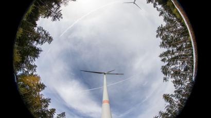 Bild: dpa/Daniel Karmann
Windräder geraten wieder stärker in den Fokus - auch in Weiden.