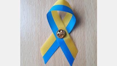 Bild: pz
Blau-gelbe Schleifen als Zeichen der Solidarität mit der Ukraine trugen die Mitglieder des Stadtrats während der Sitzung.
