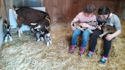 Bild: rfi
Große Freude bereitet der tierische Zuwachs auch Daniel Hüttls Tochter Marie (rechts) und deren Freundin Martha (links).