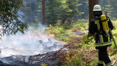 Symbolbild: Hans Meißner/exb
Mit der anhaltenden Trockenheit steigt auch die Wahrscheinlichkeit für einen Waldbrand. Wie groß die Gefahr ist, hängt laut Kreisbrandrat Christian Demleitner jetzt vor allem davon ab, wann und wie viel Niederschläge es in den nächsten Wochen gibt.