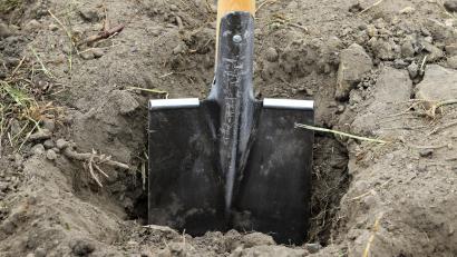 Symbolbild: Bernd Wüstneck
Die Polizei ermittelt gegen einen Unbekannten der Blumen und einen Johannisbeerstrauch gestohlen hat.