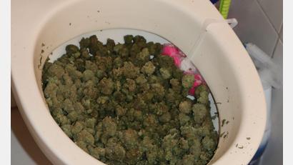 Bild: Polizeipräsidium Oberpfalz
Ein 24-Jähriger wollte seine Drogen wegspülen, war damit aber nicht erfolgreich.