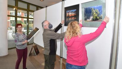 Bild: hcz
Die "Freien Fotografen" mit Präsidentin Zaneta Weidner an der Spitze (rechts) bauen ihre Jubiläumsausstellung auf, die bis Ende April im Neuen Rathaus zu sehen ist.