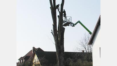 Bild: ld
Mit einem Korb am Ende eines Kranwagens wurden die dicken Stücke nach unten gebracht.