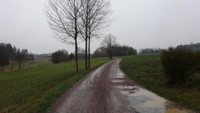 Bild: e
Parallel zur B 14 wird ein zweieinhalb Kilometer langer Radweg gebaut. Er schließt die Lücke von Wernberg Köblitz über Holzhammer bis hin zur Abzweigung an der Brücke bei der Kläranlage.