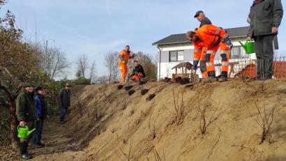 Bild: Berthold Fröhlich/exb
Die Pflanzaktion des Kleintierzuchtvereins gemeinsam mit dem Markt in der Nähe des Vereinsgeländes soll zum Erhalt der Artenvielfalt beitragen.