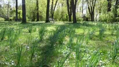Bild: Gabi Schönberger
Bis der Frühling komplett einzieht dauert es wohl noch ein bisschen. Laut Wetterexperte Andy Neumaier bringt die neue Woche trotzdem schon ein paar warme Tage.