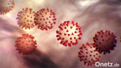 Bild: Center for Disease Control/Planet Pix via ZUMA Wire/dpa
Insgesamt 366 Neuinfektionen sind es am Donnerstag in der Stadt Weiden und im Landkreis Neustadt/WN.